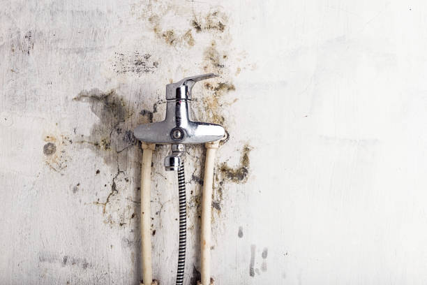 Best Home Mold Removal  in Hockessin, DE