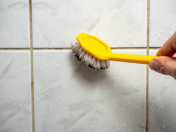 Best Emergency Mold Removal  in Hockessin, DE