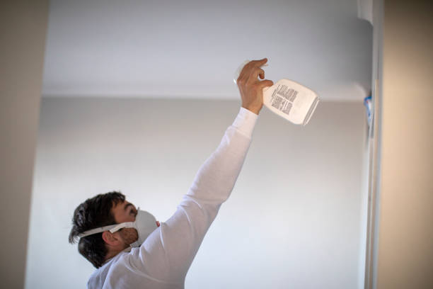 Best Mold Remediation  in Hockessin, DE