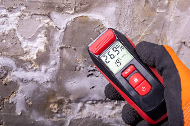 Best Office Mold Removal Services  in Hockessin, DE