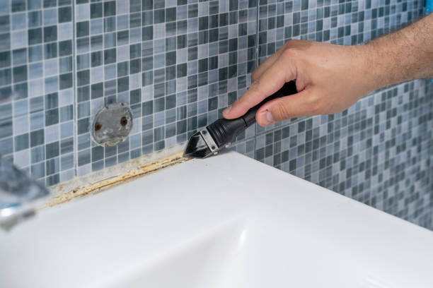 Best Residential Mold Removal  in Hockessin, DE