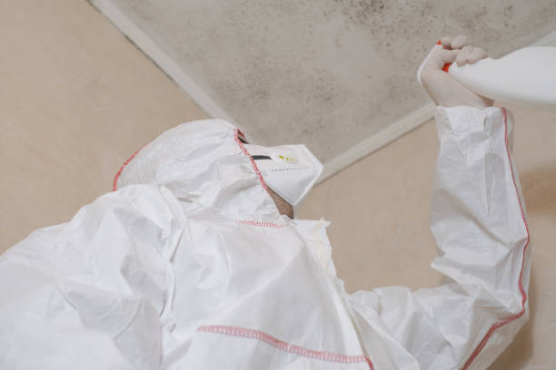 Professional Mold Removal in Hockessin, DE